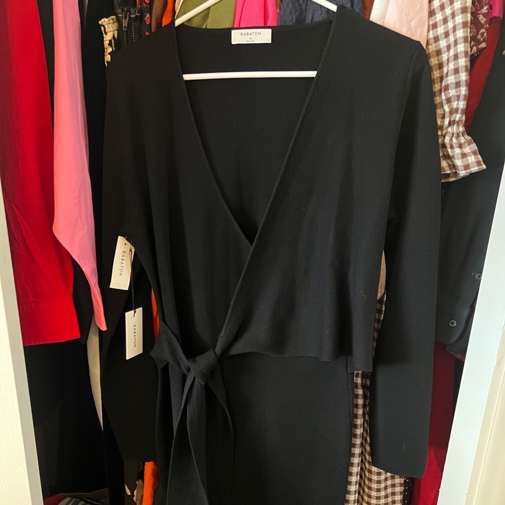 Aritzia Dress